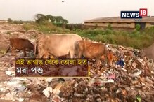 ভাগাড় চক্রের অন্যতম চাঁই কাজ করত কলকাতায় বসেই ! অভিযুক্তের খোঁজে পুলিশ ভাগাড় চক্রের অন্যতম চাঁই কাজ করত কলকাতায় বসেই ! অভিযুক্তের খোঁজে পুলিশ