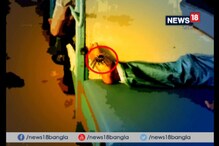 VIDEO: ট্যারান্টুলার কামড়ে রেলযাত্রীর মৃত্যুর অভিযোগ VIDEO: ট্যারান্টুলার কামড়ে রেলযাত্রীর মৃত্যুর অভিযোগ