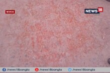 ভোটারদের চোখে লঙ্কার গুঁড়ো উড়িয়ে ভোট বন্ধ করার চেষ্টা ভোটারদের চোখে লঙ্কার গুঁড়ো উড়িয়ে ভোট বন্ধ করার চেষ্টা
