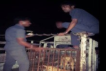 ধরা পড়ে খাঁচাবন্দী কুকুর ফেলেই পালাল দুই পাচারকারী ধরা পড়ে খাঁচাবন্দী কুকুর ফেলেই পালাল দুই পাচারকারী