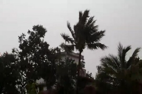 নিজস্ব চিত্র ৷