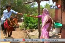 Video: মহার্ঘ পেট্রোল তাই বাইক বেচে ঘোড়া কিনলেন দুধওয়ালা ! Video: মহার্ঘ পেট্রোল তাই বাইক বেচে ঘোড়া কিনলেন দুধওয়ালা !