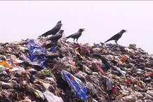 এবার ভাগাড়ে বসবে সিসিটিভি, নির্দেশ নবান্নের এবার ভাগাড়ে বসবে সিসিটিভি, নির্দেশ নবান্নের