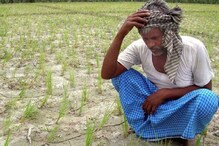 বৃষ্টির অভাবে শুকিয়ে গিয়েছে চাষের জমি, আশঙ্কায় পুরুলিয়ার কৃষকরা বৃষ্টির অভাবে শুকিয়ে গিয়েছে চাষের জমি, আশঙ্কায় পুরুলিয়ার কৃষকরা
