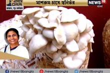 Video: #EgiyeBangla: প্রশাসনের সহায়তায় মাশরুম চাষ করে স্বাধীনতার স্বাদ পাচ্ছেন বর্ধমানের মহিলারা Video: #EgiyeBangla: প্রশাসনের সহায়তায় মাশরুম চাষ করে স্বাধীনতার স্বাদ পাচ্ছেন বর্ধমানের মহিলারা