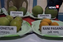 মালদা মজেছে আম উৎসবে, বিকিকিনির সঙ্গে চেখেও দেখুন মালদা মজেছে আম উৎসবে, বিকিকিনির সঙ্গে চেখেও দেখুন