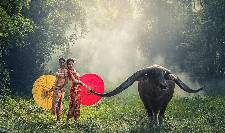 • ভিয়েতনাম: আনন্দ, খুশি আর স্বাধীনতায় মশগুল ভিয়েতনামের মানুষরা ৷ এখানে গেলে মন ভাল হয়ে যাবে আপনারও ৷ হনোই, হা লং বে, সাপা, হো চি মিন-এ বেড়াতে গেলে ব্যাগভর্তি মন খুশ বাতাস নিয়ে আসতে পারেন আপনি ৷ ১৬,৮০০ মতো পড়বে ফ্লাইটের ভাড়া ৷ ভারতীয় মুদ্রায় মাথাপিছু ৮,৫০০ টাকা খরচ করলে এক সপ্তাহের থাকার চিন্তা একেবারে ভুলে যান ৷ • ভিয়েতনাম: আনন্দ, খুশি আর স্বাধীনতায় মশগুল ভিয়েতনামের মানুষরা ৷ এখানে গেলে মন ভাল হয়ে যাবে আপনারও ৷ হনোই, হা লং বে, সাপা, হো চি মিন-এ বেড়াতে গেলে ব্যাগভর্তি মন খুশ বাতাস নিয়ে আসতে পারেন আপনি ৷ ১৬,৮০০ মতো পড়বে ফ্লাইটের ভাড়া ৷ ভারতীয় মুদ্রায় মাথাপিছু ৮,৫০০ টাকা খরচ করলে এক সপ্তাহের থাকার চিন্তা একেবারে ভুলে যান ৷