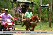 Video: পেট্রোপণ্যের আগুন দামে নাজেহাল গোটা দেশ, বিকল্প হিসেবে টাঙাগাড়িতেই ভরসা Video: পেট্রোপণ্যের আগুন দামে নাজেহাল গোটা দেশ, বিকল্প হিসেবে টাঙাগাড়িতেই ভরসা