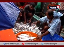 Video: জ্বালানির জ্বালায় মহার্ঘ হবে ইলিশ, আতঙ্কে মৎস্যজীবীরা Video: জ্বালানির জ্বালায় মহার্ঘ হবে ইলিশ, আতঙ্কে মৎস্যজীবীরা