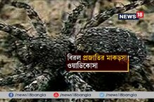 Video: āύā§āĻāĻĄāĻŧāĻžāĻā§āϝāĻžāϞāĻŋāϤ⧠āĻŦāĻŋāϰāϞ āĻŽāĻžāĻāĻĄāĻŧāϏāĻž Video: āύā§āĻāĻĄāĻŧāĻžāĻā§āϝāĻžāϞāĻŋāϤ⧠āĻŦāĻŋāϰāϞ āĻŽāĻžāĻāĻĄāĻŧāϏāĻž