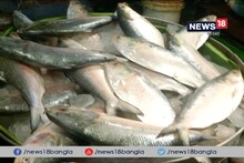 Video : বাজারে আগুন ! তবুও আগামিকাল পঞ্চব্য়াঞ্জনে বাঙালির জামাইবরণের আয়োজন
