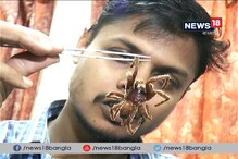 Video: ট্যারান্টুলা আতঙ্কের জট খুললেন খোদ 'স্পাইডারম্যান' Video: ট্যারান্টুলা আতঙ্কের জট খুললেন খোদ 'স্পাইডারম্যান'