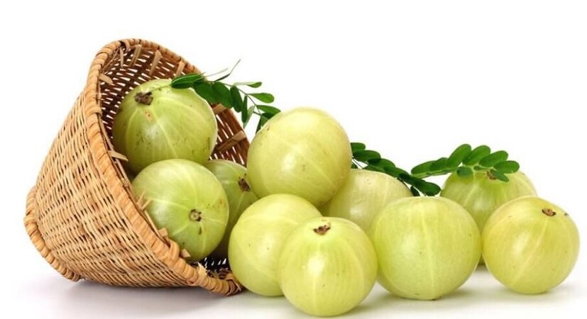 চুল পড়া সমস্যার বড় সমাধান আমলকি ৷ শুকনো আমলকি জলে ফুটিয়ে নিন ৷ তারপর সেই পেস্টটা আপনার স্কাল্প ও চুলে ব্যবহার করুন ৷ Photo Source - Collected 
