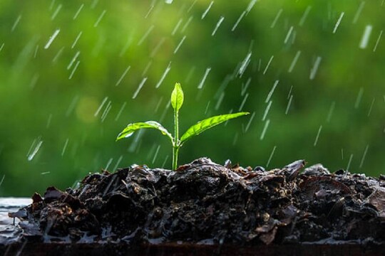 প্রতীকী ছবি