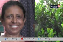 Video: গাছের পাতার রসে কি ক্যানসার নিরাময় সম্ভব? Video: গাছের পাতার রসে কি ক্যানসার নিরাময় সম্ভব?