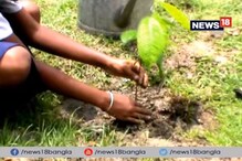 Video: সবুজের সঙ্গে হাতে-কলমে, পরিচয় উলুবেড়িয়ার স্কুলে প্রকৃতি পাঠশালা Video: সবুজের সঙ্গে হাতে-কলমে, পরিচয় উলুবেড়িয়ার স্কুলে প্রকৃতি পাঠশালা