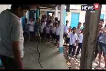 ফের ধূপগুড়িতে স্কুলে বিষধর সাপ উদ্ধার ! ফের ধূপগুড়িতে স্কুলে বিষধর সাপ উদ্ধার !