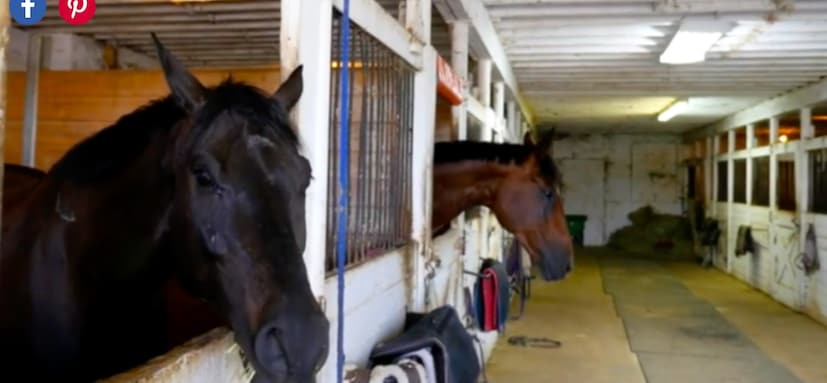 শুধুমাত্র সিনেমা দেখার জন্য একটা ছোট্ট প্রেক্ষাগৃহ রয়েছে বিবারের বাড়িটিতে। পোষ্য ঘোড়াদের জন্য আস্তাবলও রয়েছে বিবারের প্রাসাদে। তবে কোন ঘরে গানবাজনা করবেন তা ফ্যানদের জানাননি বিবার। ছবি: রেগো রিয়্যালিটির ওয়েবসাইটের সৌজন্যে ৷