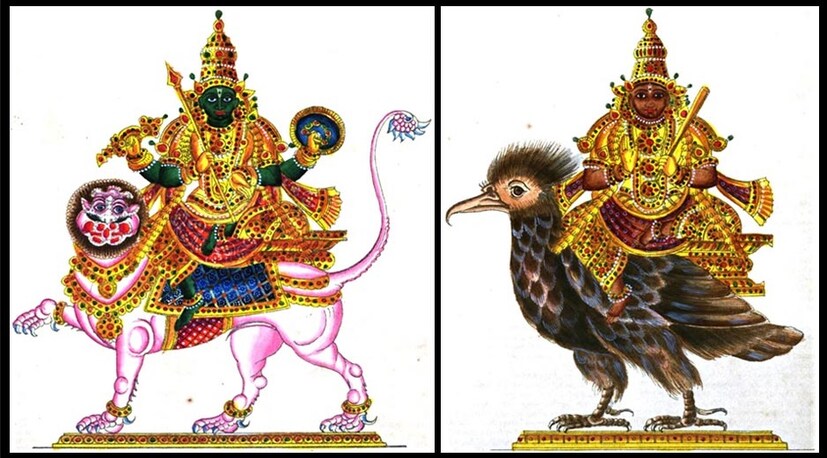 • রাহু ও কেতু: রাহু ও কেতুর প্রভাবাধীন ব্যবসায়িক দ্রব্যগুলি হল উড়দ ডাল, গোমেদ, মজ্জা, শুয়োর, গাধা, পুরনো ও বিচিত্র দ্রব্য, লৌহ, চামড়ার দ্রব্য, ইলেকট্রনিক্স দ্রব্য, হাল্কা যন্ত্রাংশ, সার্কিট বোর্ড, ধূর্ত ব্যবসা ও ব্যবসায়ীর দ্রব্য, জুয়া ব্যবসা, রেস ও সাট্টার ব্যবসা, বহুজাতিক সংস্থার ব্যবসা, চিটফান্ডের ব্যবসা প্রভৃতি।