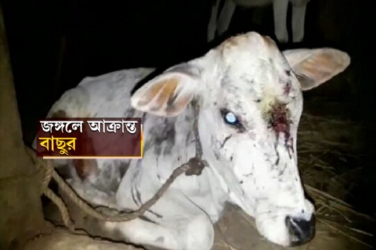 Photo: News18 Bangla