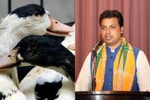 বিশ্বাস করুন আর নাই বা করুন, বিপ্লব দেবই সঠিক, হাঁসের সাঁতারে বাড়ে অক্সিজেন! বিশ্বাস করুন আর নাই বা করুন, বিপ্লব দেবই সঠিক, হাঁসের সাঁতারে বাড়ে অক্সিজেন!