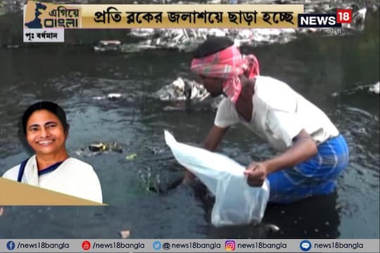 মশা নিযন্ত্রণে এবার ভরসা মাছ ৷ নিজস্ব চিত্র ৷