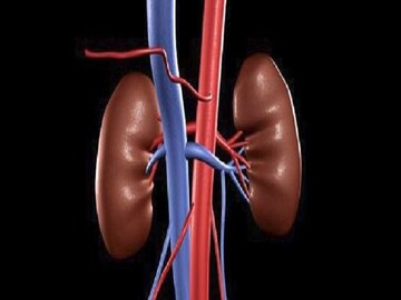 কিডনির সমস্যায় ভুগছেন, বুঝবেন কীভাবে ? কিডনির সমস্যায় ভুগছেন, বুঝবেন কীভাবে ?