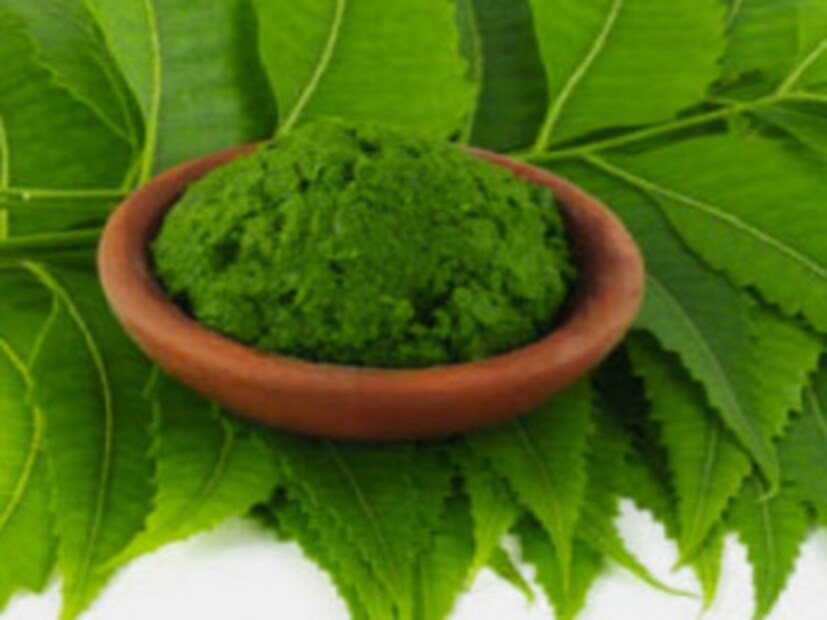 বর্ষাকাল মানেই নানারকম সমস্যা । এই সময় আকছারই হজমের সমস্যা হয় । অবাধ্য হয়ে ওঠে ত্বক ও চুল । খুস্কি, অবাঞ্ছিত অ্যাকনের মতো সমস্যা লেগেই থাকে । সমস্যা পেটের হোক, ত্বকের বা চুলের, সব কিছুরই সমাধান করতে পারে নিম । জেনে নিন কীভাবে ।