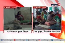Video : হাসপাতালে রোগীর সঙ্গী কুকুর বেড়াল, পদক্ষেপ কর্তৃপক্ষের Video : হাসপাতালে রোগীর সঙ্গী কুকুর বেড়াল, পদক্ষেপ কর্তৃপক্ষের