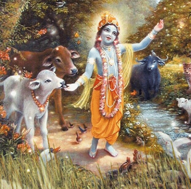• শ্রীকৃষ্ণের জীবনের সঙ্গে সাধারণ মানুষের জীবন মিলে যায় ৷ তিনি তাঁর বাল্যকাল গোকুলের গলিতে কাটিয়েছেন ৷ সাধারণভাবেই সেখানে জীবন অতিবাহিত করেছেন ৷ এবং জাীবনের অন্য প্রান্তে তিনি রাজা হয়েছিলেন ৷ তবুও তাঁর চারিত্রিক বৈশিষ্ট্য অনুধাবন করলে বোঝা যাবে যে, অহঙ্কার নামক বস্তুটি তাঁর জীবনে নেই বিলকুল ৷ আর সেই কারণেই বলা হয়-ব্যবসায় বিরাট সাফল্য পাওয়ার পরেও অহঙ্কার হওয়ার কথা নয় ৷  ছবি: সংগৃহীত ৷