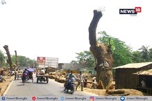 যশোর রোডে গাছ কাটায় স্থগিতাদেশ সুপ্রিম কোর্টের যশোর রোডে গাছ কাটায় স্থগিতাদেশ সুপ্রিম কোর্টের