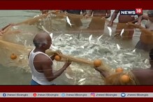 ইলিশের আশায় হা পিত্যেষ করে দিন গোনার অপেক্ষা শেষ, জলের রুপোলি শস্যের অভাব মেটাবে মিল্ক ফিশ ইলিশের আশায় হা পিত্যেষ করে দিন গোনার অপেক্ষা শেষ, জলের রুপোলি শস্যের অভাব মেটাবে মিল্ক ফিশ
