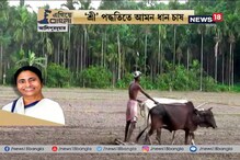 #EgiyeBangla: ‘শ্রী’ পদ্ধতিতে আমন ধান চাষ, আলিপুরদুয়ারে স্বচ্ছল হয়েছেন আদিবাসী মহিলারা #EgiyeBangla: ‘শ্রী’ পদ্ধতিতে আমন ধান চাষ, আলিপুরদুয়ারে স্বচ্ছল হয়েছেন আদিবাসী মহিলারা