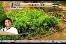 #EgiyeBangla: গাছের চারা বিক্রি করে সচ্ছল মঙ্গলকোটের মহিলারা, পাশে দাঁড়িয়েছে সরকার #EgiyeBangla: গাছের চারা বিক্রি করে সচ্ছল মঙ্গলকোটের মহিলারা, পাশে দাঁড়িয়েছে সরকার