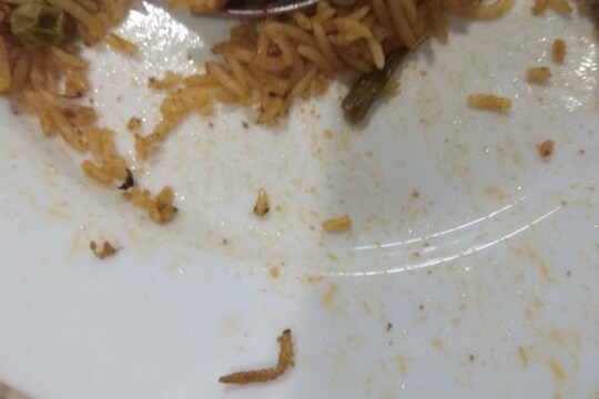 The caterpillar as seen on the plate of the man who ordered vegetable biryani at IKEA store in Hyderabad. (Photo credit: Abeed Muhammad)
