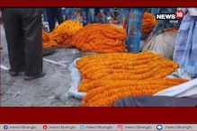 লক্ষ্মীপুজোর চাহিদা বাড়ায় লক্ষ্মীলাভ হচ্ছে ভাঙড়ের ফুলচাষিদের লক্ষ্মীপুজোর চাহিদা বাড়ায় লক্ষ্মীলাভ হচ্ছে ভাঙড়ের ফুলচাষিদের