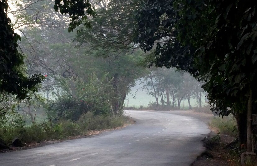 এমন অনেক মানুষ আছেন যাঁরা ভূতের ভয় পেয়ে থাকেন ৷ তাঁরা এই প্রতিবেদনটি মনে কিছুটা সাহস সঞ্চয় করেই পড়ার সাহস করুন ৷ এমন কিছু রাস্তাঘাটের সন্ধান দেওয়া হয়েছে দেখলে সত্যি গা ছমছম করে উঠবে ৷ ছবি সংগৃহীত ৷ 