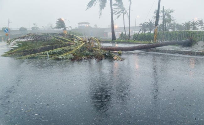 প্রশাসনের পক্ষ থেকে খামোখা আতঙ্ক না করতে বলা হয়েছে সঙ্গে গুজব ছড়াতে বা গুজবে কান না দিতে অনুরোধও করা হয়েছে ৷ ছবি সংগৃহীত ৷ প্রশাসনের পক্ষ থেকে খামোখা আতঙ্ক না করতে বলা হয়েছে সঙ্গে গুজব ছড়াতে বা গুজবে কান না দিতে অনুরোধও করা হয়েছে ৷ ছবি সংগৃহীত ৷