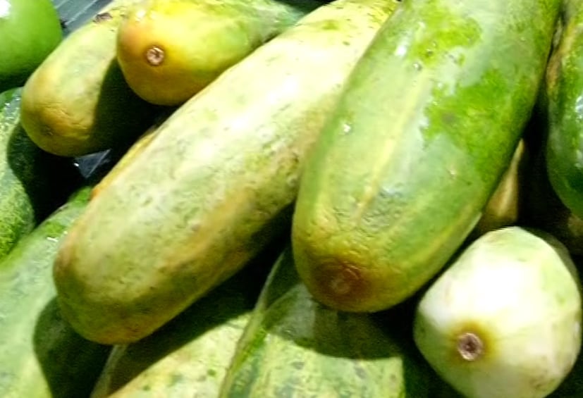 • কেজি প্রতি শসার দাম ৬০ টাকা ৷ পানিফলও ৬০ টাকা কিলো দরে বিক্রি হচ্ছে ৷ শসার দাম আগে ছিল ৪০ টাকা ৷ নিজস্ব চিত্র ৷ 