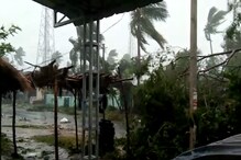 তিতলির রোষানলে পুড়ে ছাই ২১ তিতলির রোষানলে পুড়ে ছাই ২১