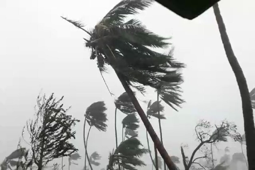 সে এক ভয়ঙ্কর অভিজ্ঞতার সম্মুখীন হয়েছিল লুবান সহ মধ্যপ্রাচ্যের মানুষ ৷ ছবি সংগৃহীত ৷