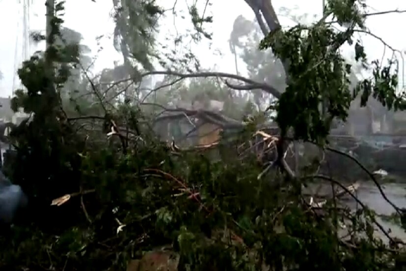 জীবনের স্বাভাবিক ছন্দ নষ্ট হয়েছিল ৷ সালালাহ, ধোফার, রেসাট, ইয়েমেন প্রভৃতি এলাকায় ব্যাপক হারে বিষাক্ত প্রভাব ফেলেছিল ৷ ছবি সংগৃহীত ৷ 