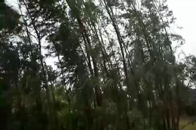 আরব সাগরের উপকূল তটে উৎপত্তি হয়েছিল মেকুনুর ৷ মৌসম ভবন একে ব্যাখ্যা করেছিল মেকুনুর একাধিক গুরুত্বপূর্ণ তথ্য ৷ পরে জয়েন্ট টাইফুন ওয়ারনিং সেন্টারের পক্ষ থেকে জানানো হয়েছিল মেকুনু আসলে একটি প্রাকৃতিক বিপর্যয় ৷ ছবি সংগৃহীত ৷