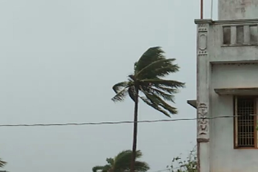 বিধ্বংসী তিতলির প্রভাব মুক্ত নয় বাংলাও ৷ গত কয়কদিন ধরেই তিতলি নিয়ে এতখানি চর্চা হয়েছে যাতে তিতলি সংক্রান্ত বিষয় মনে হয়না আর কারও অজানা আছে ৷