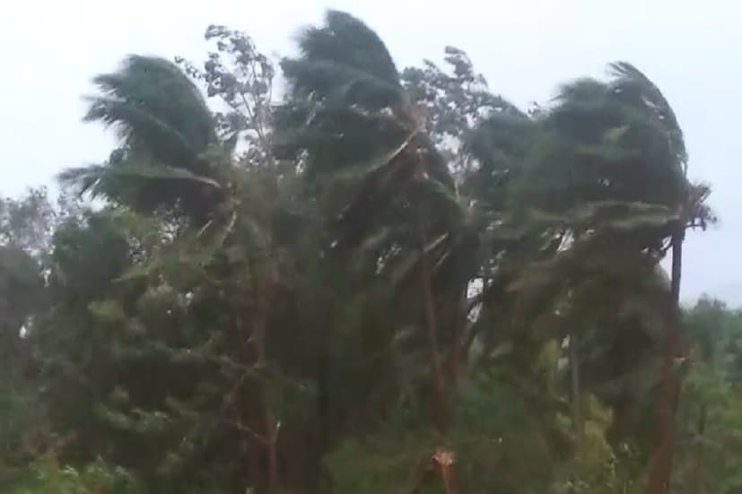 অন্ধ্রের শ্রীকাকুলামে আছড়ে পড়েছিল দুরন্ত ঘূর্ণিঝড় তিতলি ৷ ঘণ্টায় ১৫০ বেগে ঘূর্ণিঝড় তছনছ করেছে সব কিছু ৷ ছবি সংগৃহীত ৷