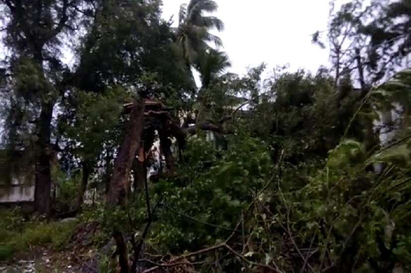 ব্যাহত হয়েছে রেল, ডাক, বিমান, ব্যাঙ্ক সহ একাধিক জরুরি পরিষেবা ৷ ছবি সংগৃহীত ৷
