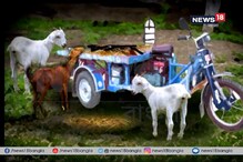 এ যেন পুরো ফিল্ম, ছাগল ধরিয়ে দিল অস্ত্রের চোরাচালান, উদ্ধার ৪৮ টি এয়ার গান এ যেন পুরো ফিল্ম, ছাগল ধরিয়ে দিল অস্ত্রের চোরাচালান, উদ্ধার ৪৮ টি এয়ার গান