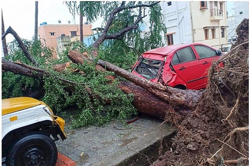 বিধ্বংসী সাইক্লোনে লন্ডভন্ড তামিলনাড়ু উপকূল । নাগাপট্টিনাম ও কারাইকাল জেলায় উপড়ে গিয়েছে গাছপালা, প্রবল ঝড়ে পড়ে গিয়েছে ইলেকট্রিক পোলগুলিও । (Image: PTI)