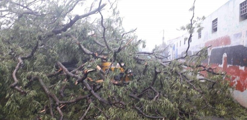 'গাজা'এর কারণে ক্ষতিগ্রস্ত কুদ্দালোর ও পুথুকোট্টাই জেলাও । নিম্ন-উপকূলবর্তী এলাকাগুলি থেকে ইতিমধ্যেই উদ্ধার করা হয়েছে প্রায় ৮০,০০০ জনকে । 