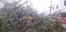 গাজার দাপটে ছাড়খাড় গ্রাম থেকে শহর, বিপুল ক্ষয়ক্ষতিতে ধুঁকছে গোটা রাজ্য গাজার দাপটে ছাড়খাড় গ্রাম থেকে শহর, বিপুল ক্ষয়ক্ষতিতে ধুঁকছে গোটা রাজ্য